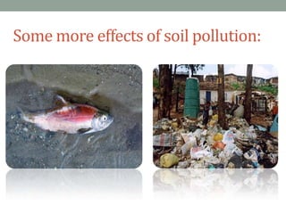 Some more effects of soil pollution:
 