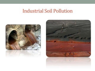 Industrial Soil Pollution

 