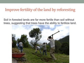 Improve fertility of the land by reforesting
Soil in forested lands are far more fertile than soil without
trees, suggesting that trees have the ability to fertilize land.

 