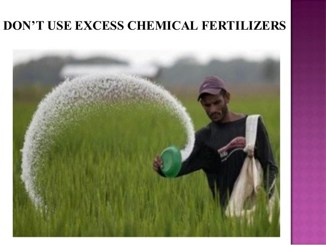 fertilizers how chemical cause pollution pollution Soil fertilizers how chemical cause pollution pollution Soil