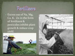  Excess use of Na, Mg,
Ca, K, Zn in the form
of fertilizers &
pesticides inhibit plant
growth & reduce crop
yield.
 