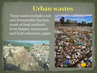 Urban wastes
 These wastes include a wet
and fermentable fraction,
made of food residuals
from houses, restaurants
and food industries, paper.
 