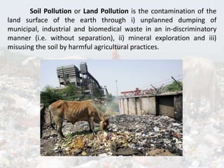 Soil pollution | PPT