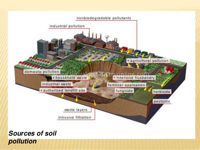 Soil Pollution