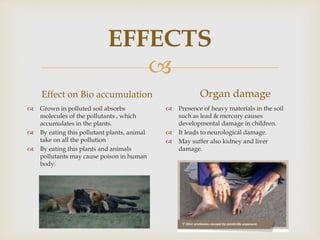 
EFFECTS
Effect on Bio accumulation
 Grown in polluted soil absorbs
molecules of the pollutants , which
accumulates in the plants.
 By eating this pollutant plants, animal
take on all the pollution
 By eating this plants and animals
pollutants may cause poison in human
body.
Organ damage
 Presence of heavy materials in the soil
such as lead & mercury causes
developmental damage in children.
 It leads to neurological damage.
 May suffer also kidney and liver
damage.
 