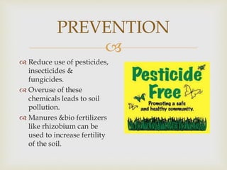 
PREVENTION
 Reduce use of pesticides,
insecticides &
fungicides.
 Overuse of these
chemicals leads to soil
pollution.
 Manures &bio fertilizers
like rhizobium can be
used to increase fertility
of the soil.
 