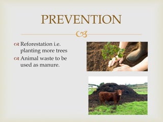 
PREVENTION
 Reforestation i.e.
planting more trees
 Animal waste to be
used as manure.
 