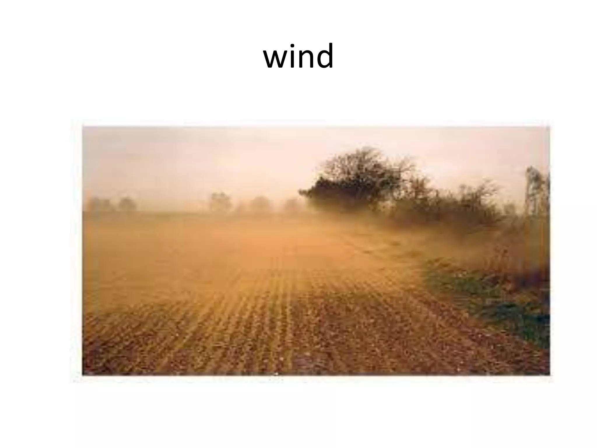 wind
 