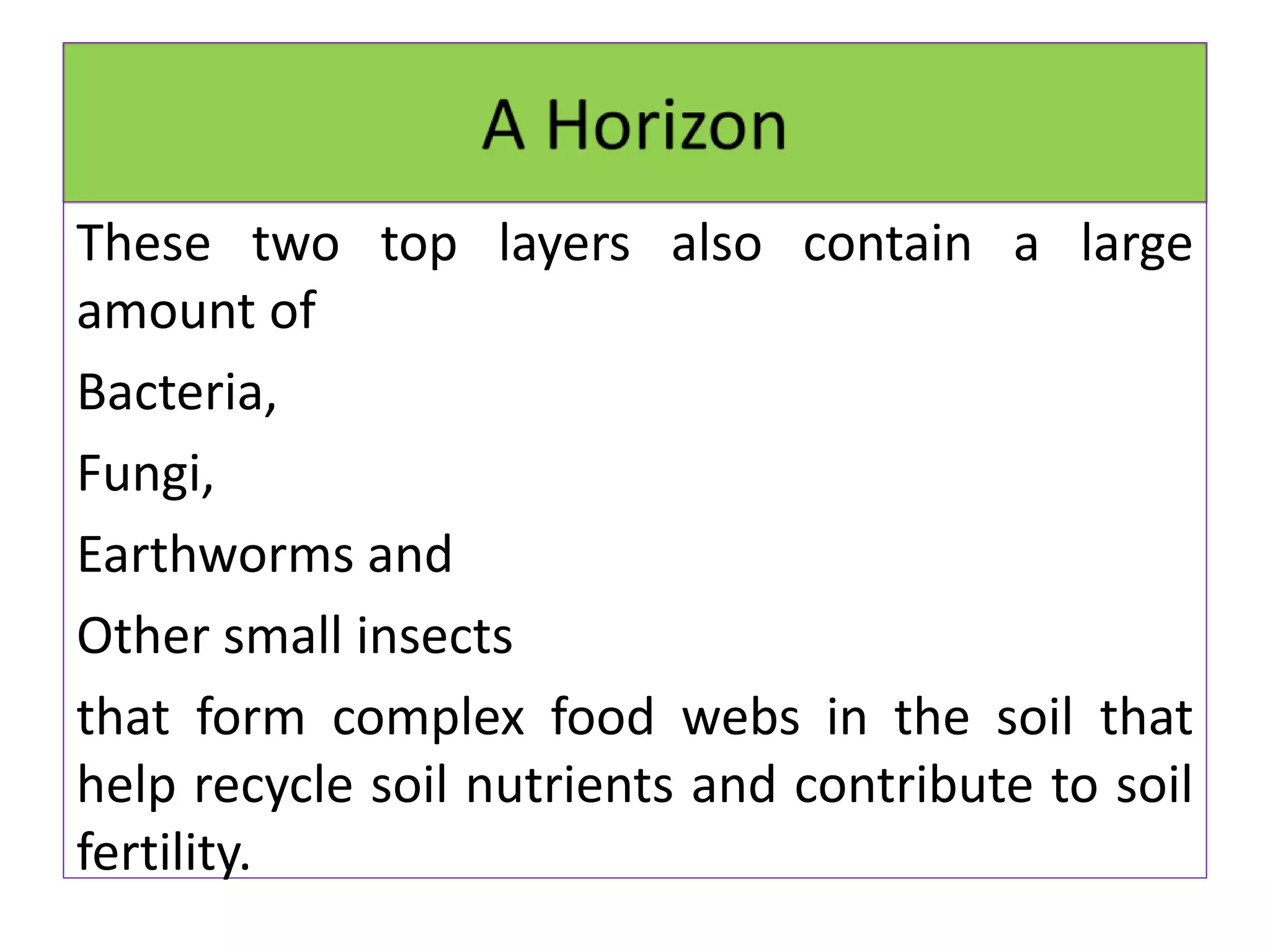 These two top layers also contain a large
amount of
Bacteria,
Fungi,
Earthworms and
Other small insects
that form complex food webs in the soil that
help recycle soil nutrients and contribute to soil
fertility.
 