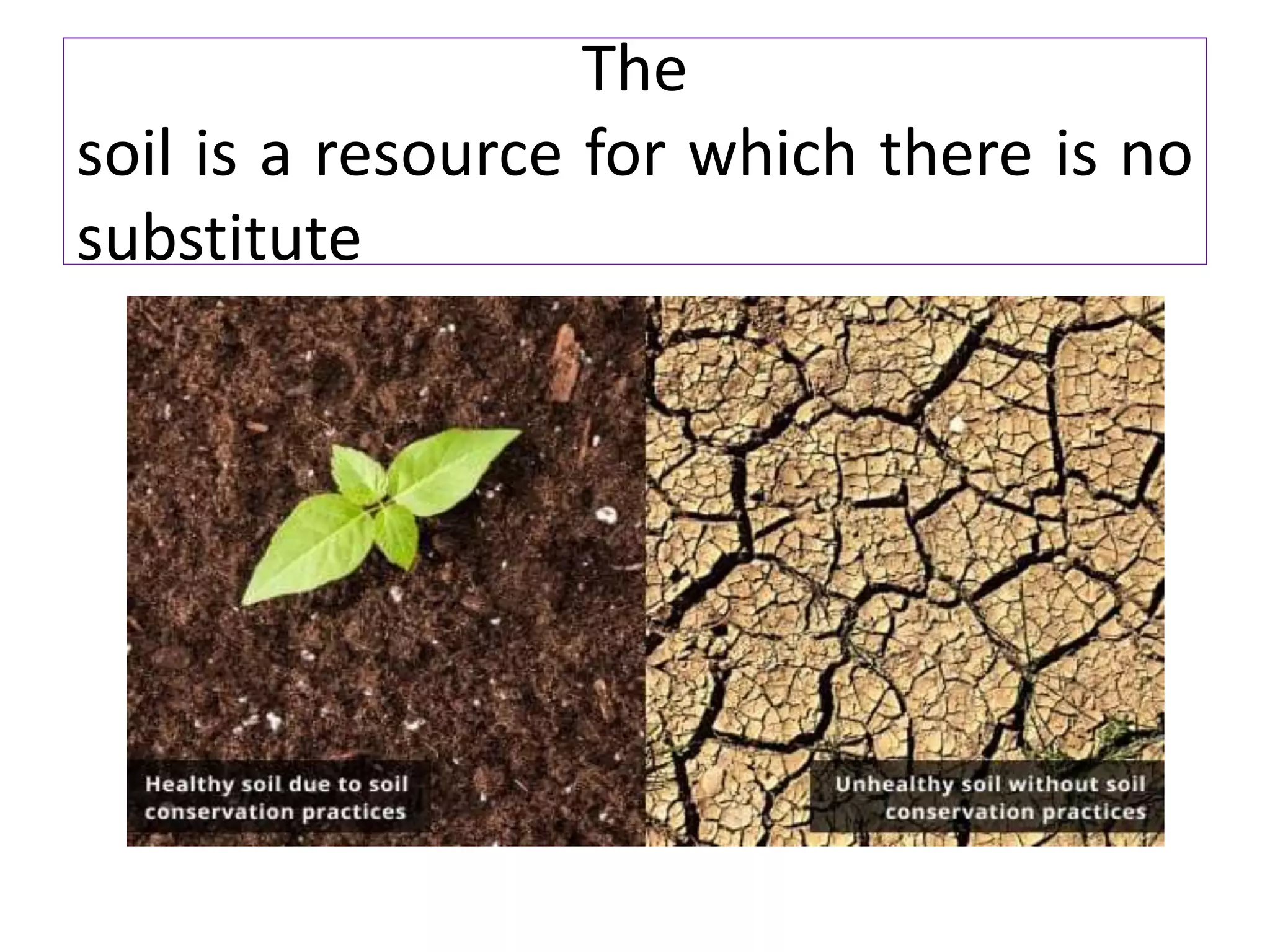 The
soil is a resource for which there is no
substitute
 