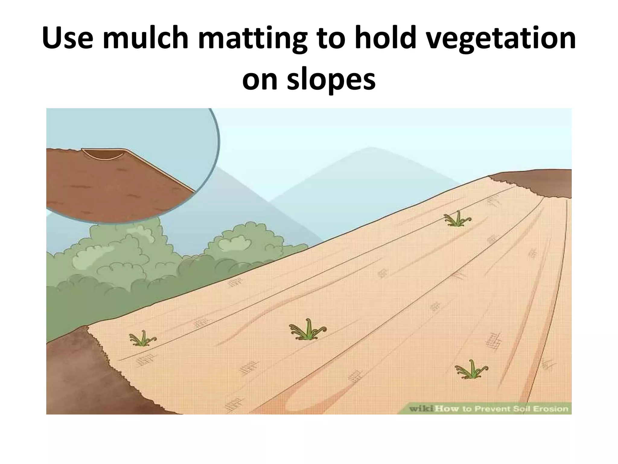 Use mulch matting to hold vegetation
on slopes
 