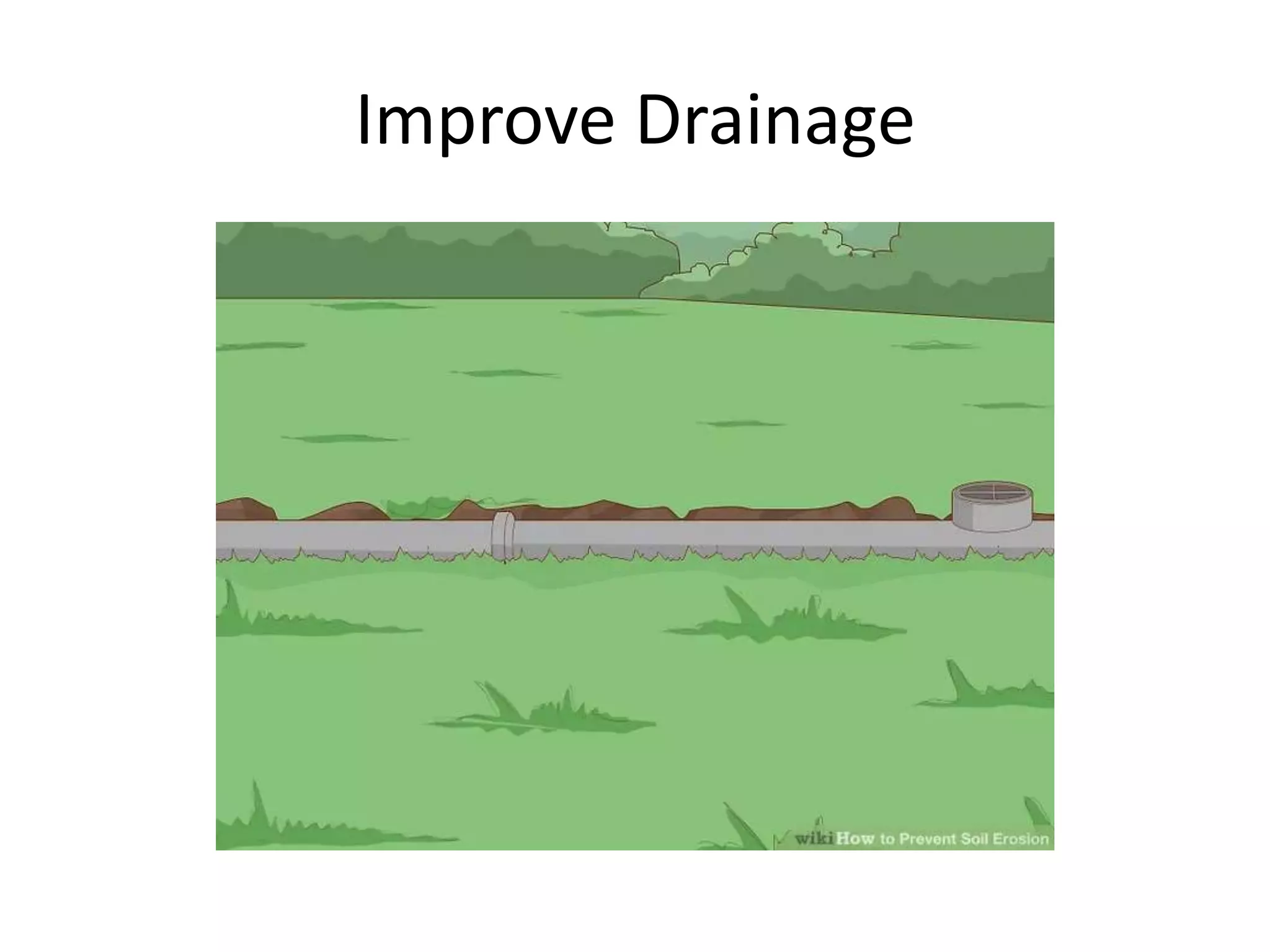 Improve Drainage
 