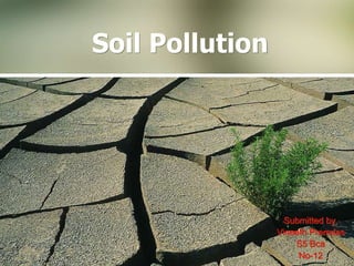 Soil Pollution
Submitted by,
Vineeth Premdas
S5 Bca
No-12
 