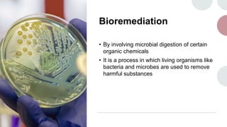 Bioremediation
• By involving microbial digestion of certain
organic chemicals
• It is a process in which living organisms...