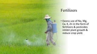 Fertilizers
• Excess use of Na, Mg,
Ca, K, Zn in the form of
fertilizers & pesticides
inhibit plant growth &
reduce crop yield.
 