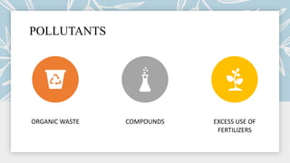 POLLUTANTS
ORGANIC WASTE COMPOUNDS EXCESS USE OF
FERTILIZERS
 
