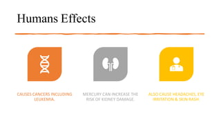 Humans Effects
CAUSES CANCERS INCLUDING
LEUKEMIA.
MERCURY CAN INCREASE THE
RISK OF KIDNEY DAMAGE.
ALSO CAUSE HEADACHES, EYE
IRRITATION & SKIN RASH.
 