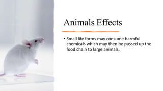 Animals Effects
• Small life forms may consume harmful
chemicals which may then be passed up the
food chain to large animals.
 