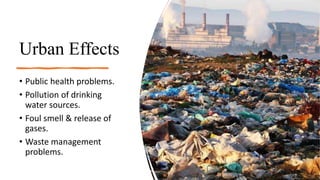 Urban Effects
• Public health problems.
• Pollution of drinking
water sources.
• Foul smell & release of
gases.
• Waste management
problems.
 