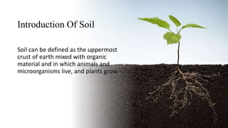 Introduction Of Soil
Soil can be defined as the uppermost
crust of earth mixed with organic
material and in which animals and
microorganisms live, and plants grow.
 
