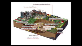 Soil Pollution.pptx