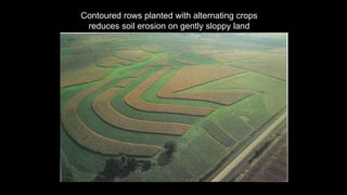 Soil Pollution.pptx