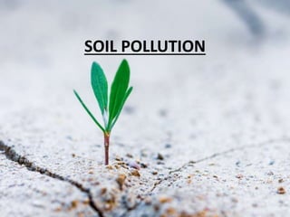 SOIL POLLUTION
 
