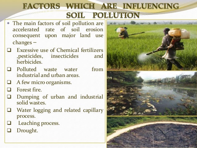chemical cause pollution how fertilizers Soil pollution chemical cause pollution how fertilizers Soil pollution