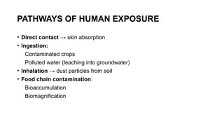 Comprehensive Overview of Soil Pollution and Its Impact on Human Health ...