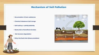Soil Pollution pdf definition causes mechanism effects diseases ...