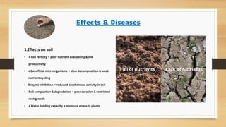 Soil Pollution pdf definition causes mechanism effects diseases ...