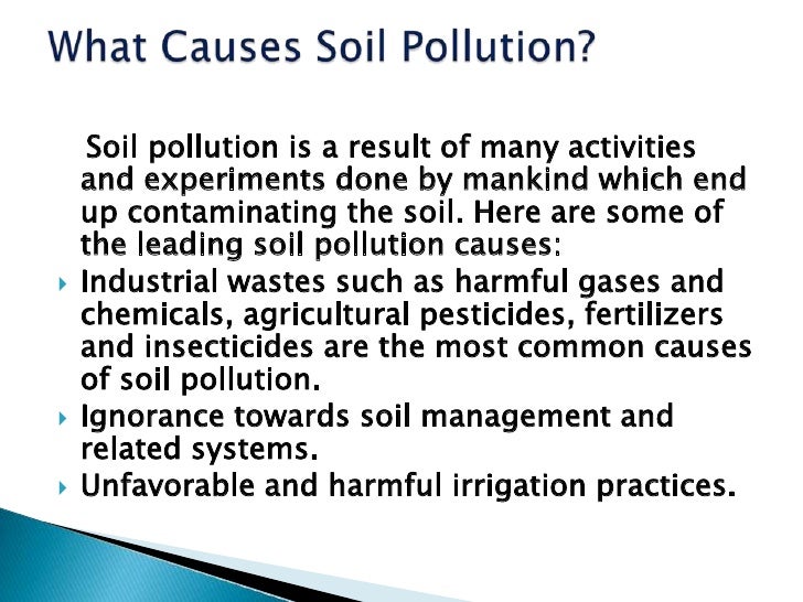 Essay on soil pollution