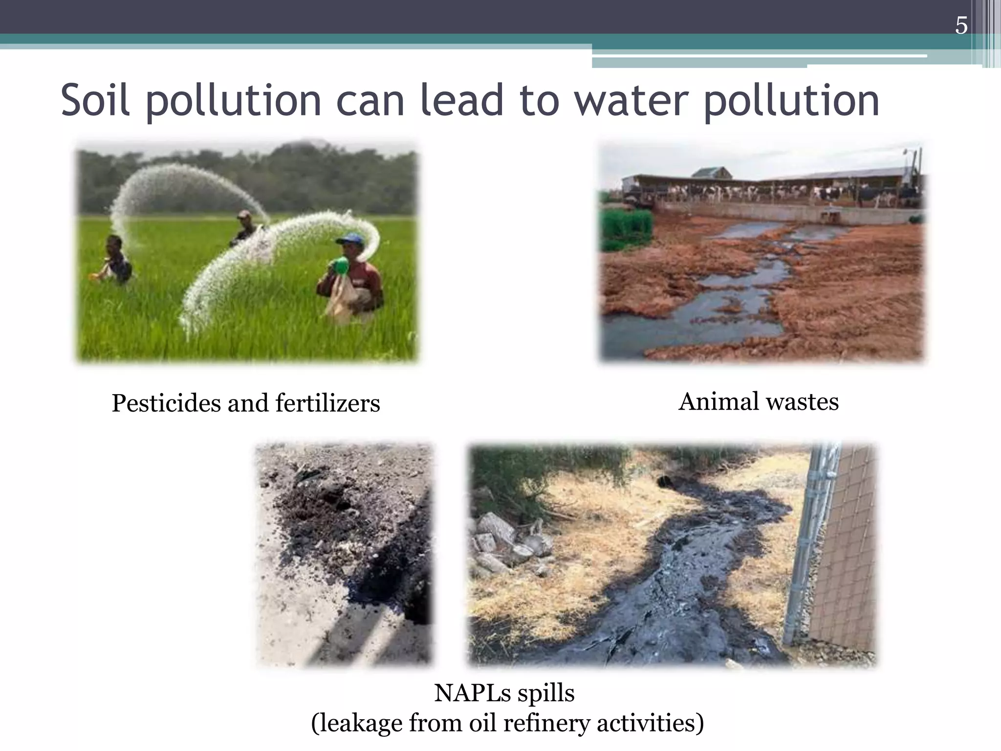 Soil pollution can lead to water pollution
5
Pesticides and fertilizers Animal wastes
NAPLs spills
(leakage from oil refinery activities)
 