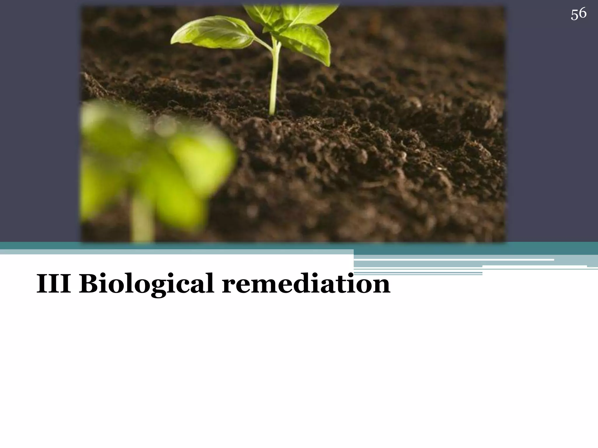 III Biological remediation
56
 