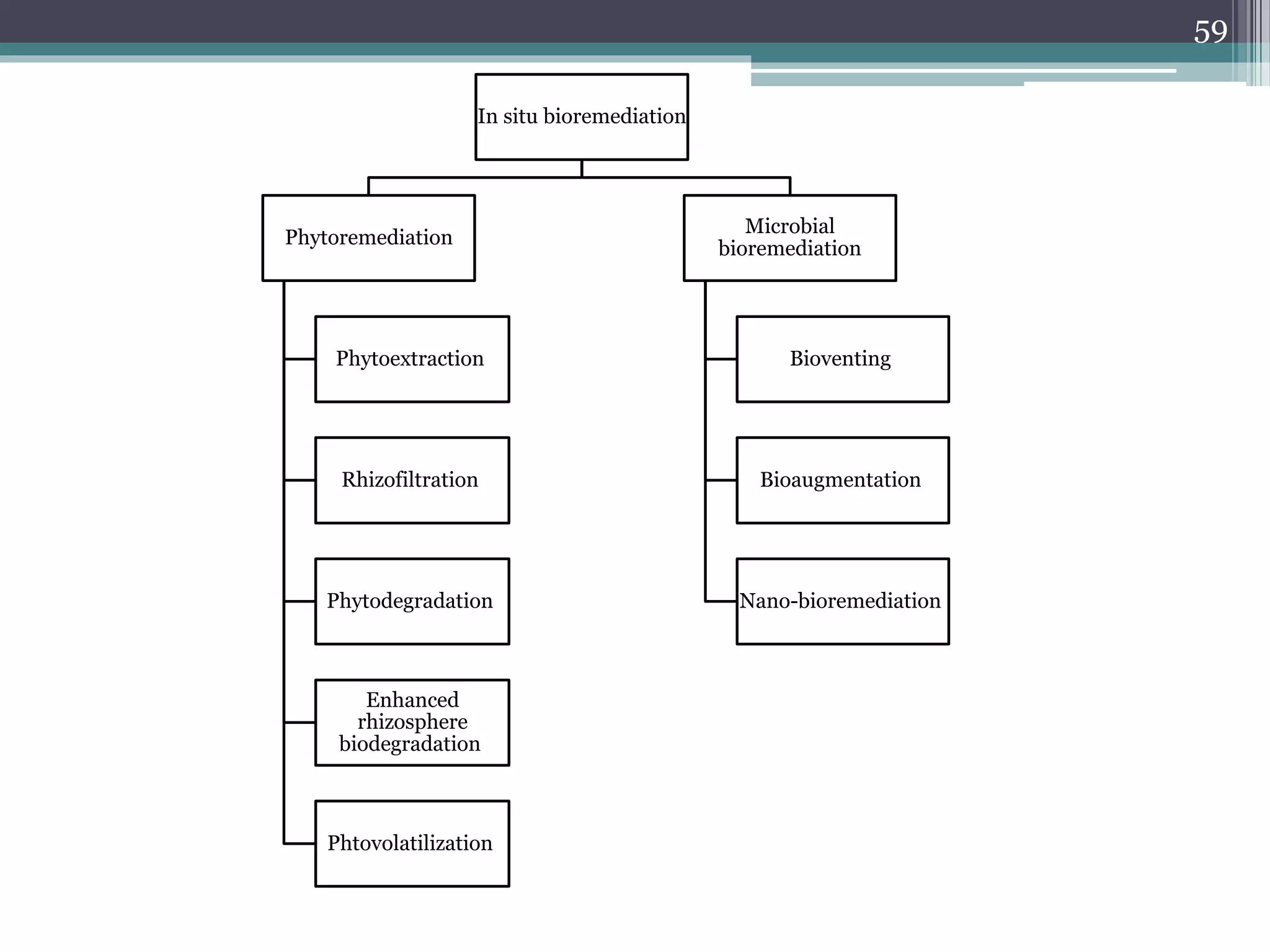 In situ bioremediation
Microbial
bioremediation
Bioventing
Bioaugmentation
Nano-bioremediation
Phytoremediation
Phytoextraction
Rhizofiltration
Phytodegradation
Enhanced
rhizosphere
biodegradation
Phtovolatilization
59
 