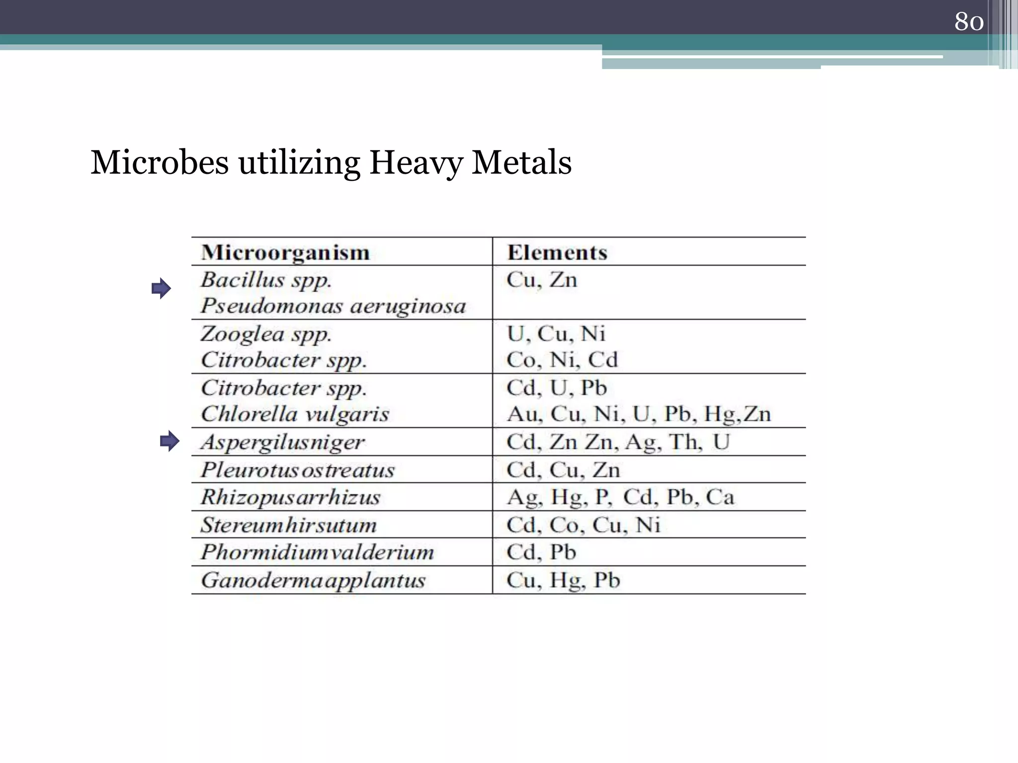 Microbes utilizing Heavy Metals
80
 