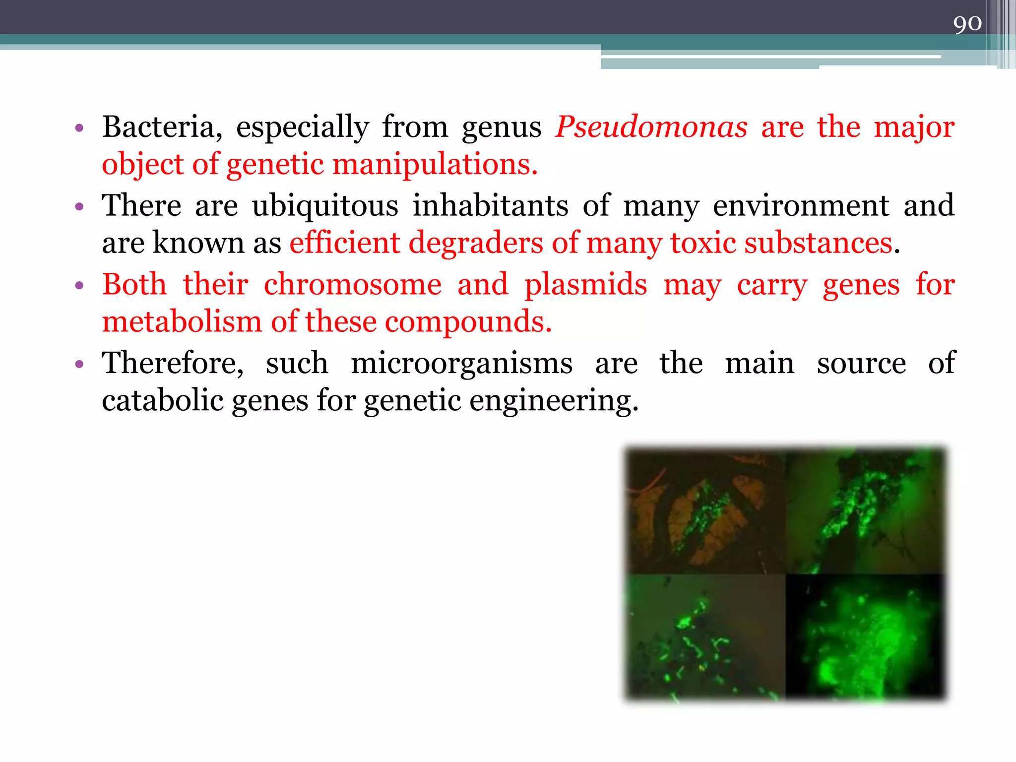 • Bacteria, especially from genus Pseudomonas are the major
object of genetic manipulations.
• There are ubiquitous inhabitants of many environment and
are known as efficient degraders of many toxic substances.
• Both their chromosome and plasmids may carry genes for
metabolism of these compounds.
• Therefore, such microorganisms are the main source of
catabolic genes for genetic engineering.
90
 
