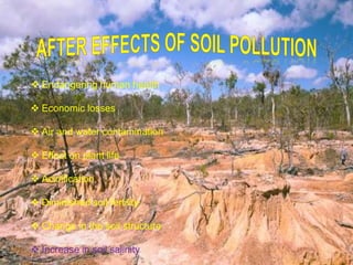 Soil pollution and how to prevent it | PPT