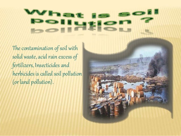 Soil pollution and how to prevent it