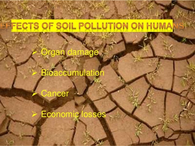 Soil pollution and how to prevent it