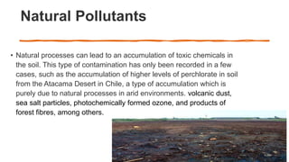 SOIL POLUTION. copy.pptx