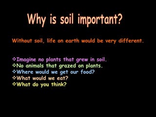 Why is soil important? Without soil, life on earth would be very different.   Imagine no plants that grew in soil. No animals that grazed on plants. Where would we get our food?  What would we eat?   What do you think? 