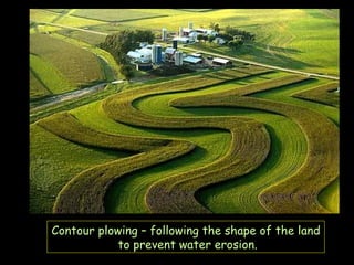Contour plowing – following the shape of the land  to prevent water erosion. 