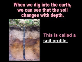 When we dig into the earth, we can see that the soil changes with depth. This is called a  soil profile. http://epod.usra.edu 
