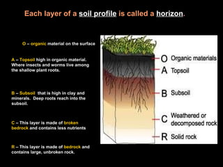 O  –  organic  material on the surface A  –  Topsoil  high in organic material.  Where insects and worms live among the shallow plant roots. B  –  Subsoil   that is high in clay and minerals.  Deep roots reach into the subsoil. C  – This layer is made of  broken   bedrock  and contains less nutrients  Each layer of a   soil profile   is called a   horizon . R  – This layer is made of  bedrock  and contains large, unbroken rock. 