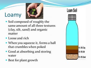 Loamy
 Soil composed of roughly the
    same amount of all three textures
    (clay, silt, sand) and organic
    matter
   Loose and rich
   When you squeeze it, forms a ball
    that crumbles when poked
   Good at absorbing and storing
    water
   Best for plant growth
 