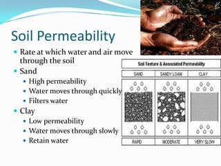 Soil Permeability
 Rate at which water and air move
  through the soil
 Sand
   High permeability
   Water moves through quickly
   Filters water
 Clay
    Low permeability
    Water moves through slowly
    Retain water
 