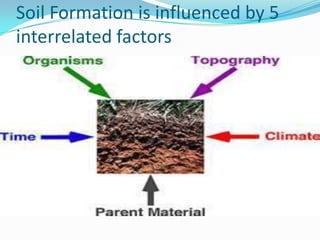 Soil Formation is influenced by 5
interrelated factors
 