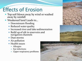 Effects of Erosion
 Top soil blown away by wind or washed
  away by rainfall
 Weakened land Leads to…
   Downstream flooding
   Reduced water quality
   Increased river and lake sedimentation
   Build up of silt in reservoirs and
    navigation channels
   Dust storms
   Air pollution
   Health issues
         Allergies
         Eye infections
         Upper respiratory problems
 