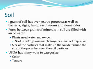 Soil
 1 gram of soil has over 50,000 protozoa as well as
  bacteria, algae, fungi, earthworms and nematodes
 Pores between grains of minerals in soil are filled with
  air or water
   Plants need water and oxygen
     Need to make glucose-use photosynthesis and cell respiration

   Size of the particles that make up the soil determine the
    size of the pores between the soil particles
 USDA has many ways to categorize
   Color
   Texture
 